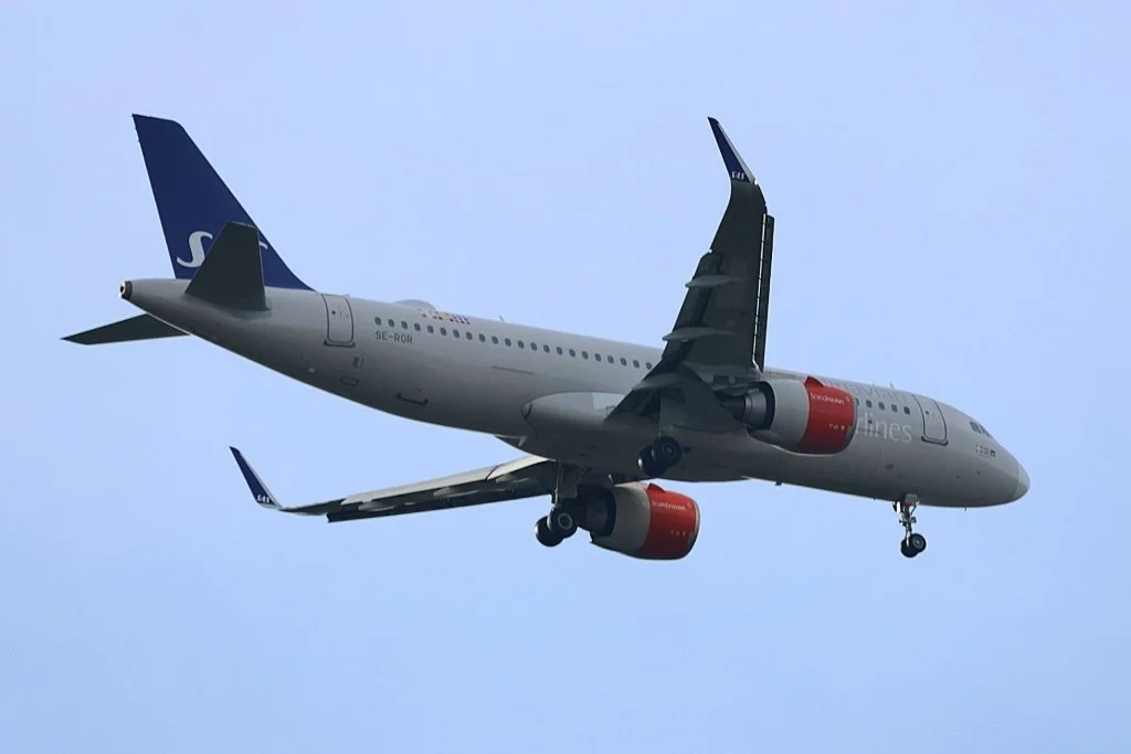 25Mar27_SE-ROR_(1)_MN Credit/Copyright Matthew Ness