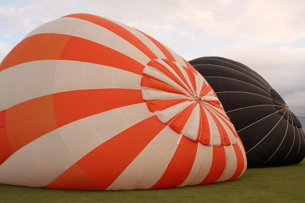 D7-484 (G-VITL_G-BTUH)