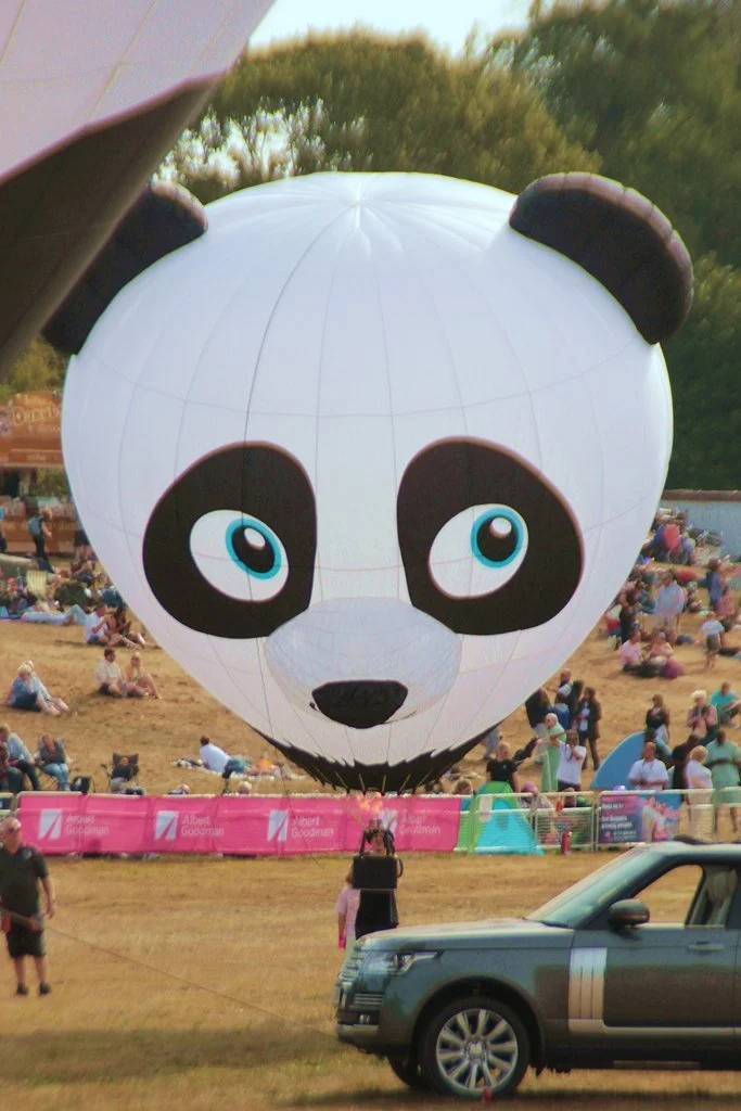 26Aug08_Model_(7)_SR (Panda)