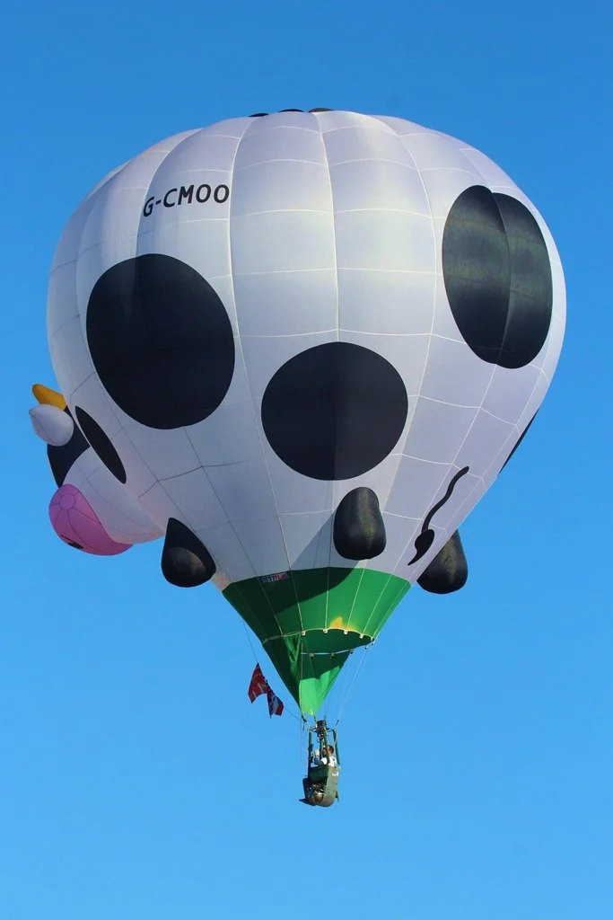 26Aug07_G-CMOO_(1)_SR