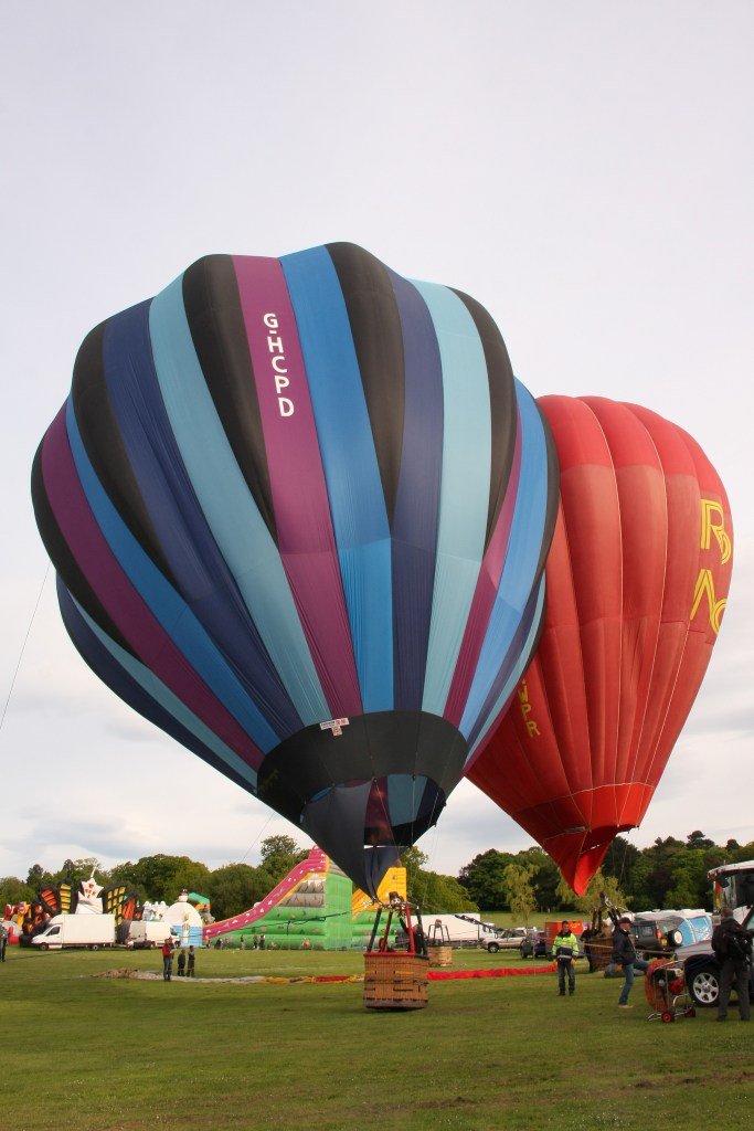 D12-281 (G-HCPD_G-NWPR)