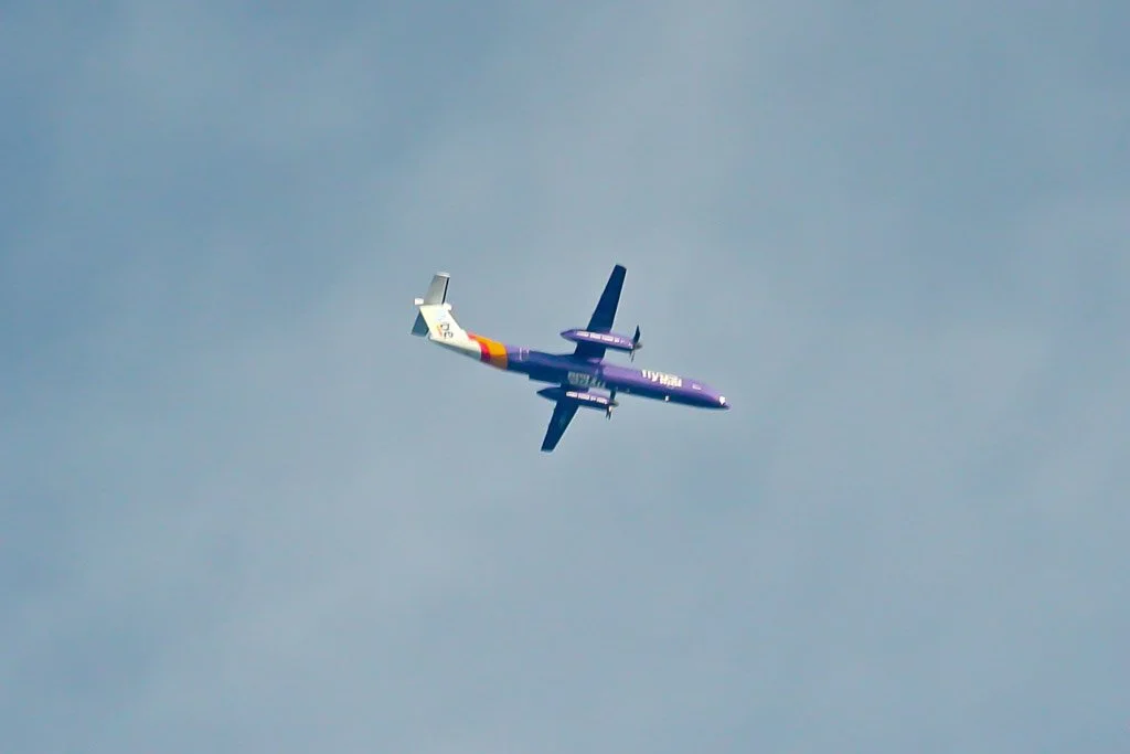 D13-184 (-).jpg