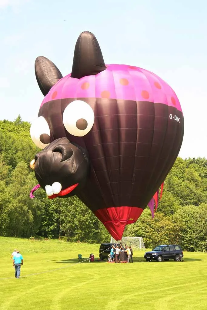 18May26_G-DONK_(1)_SR