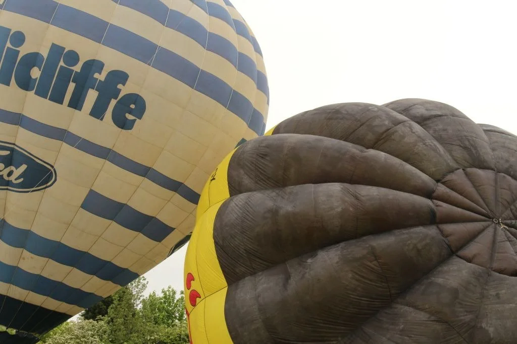 D8-689 (G-BJSW_G-BLGX)