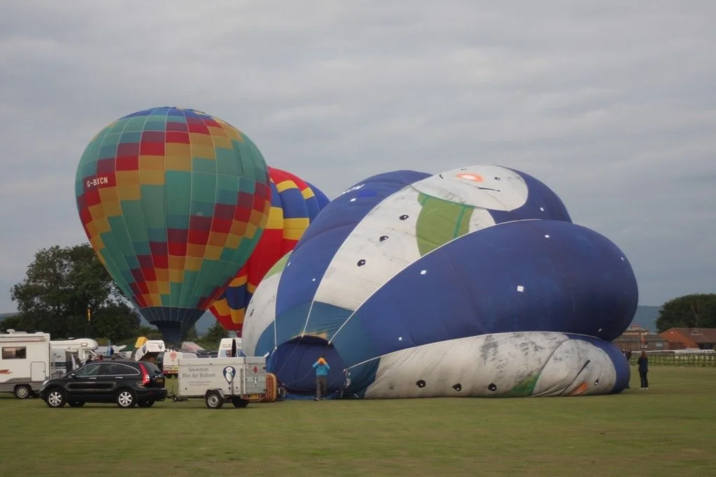 D4-332 (G-SNOW, BXCN, BVPV).jpg