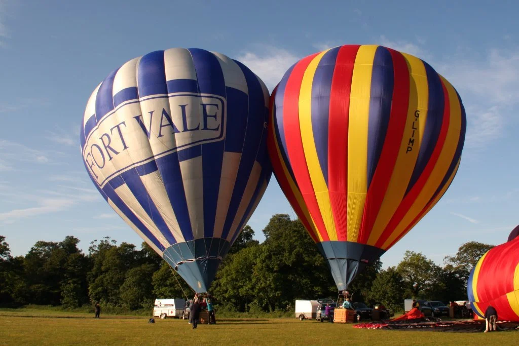 D7-336 (G-FVEL_G-LIMP)