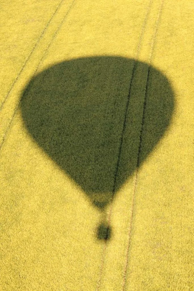 D7-387 (G-OBUY) (Shadow)