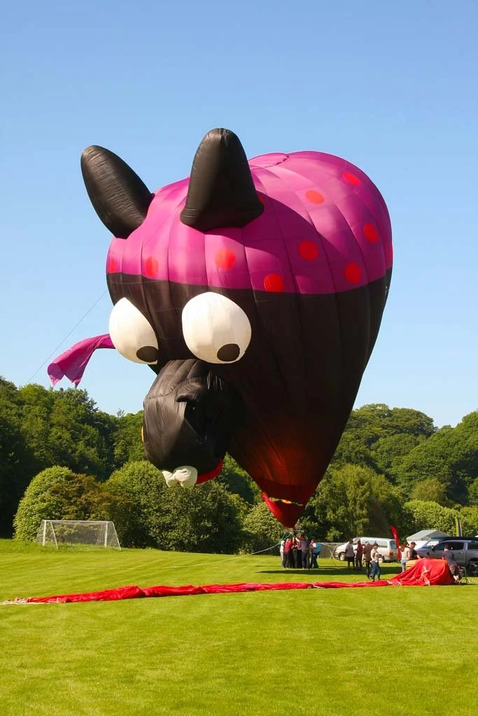 18May27_G-DONK_(3)_SR