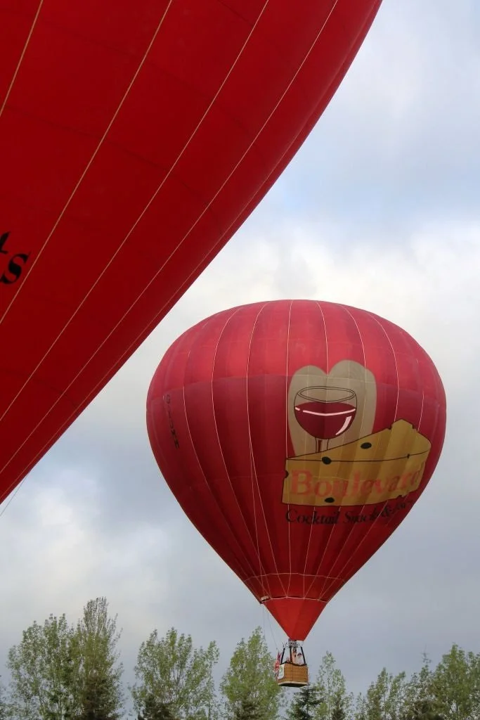 D8-823 (G-VBFS_G-YUMM)