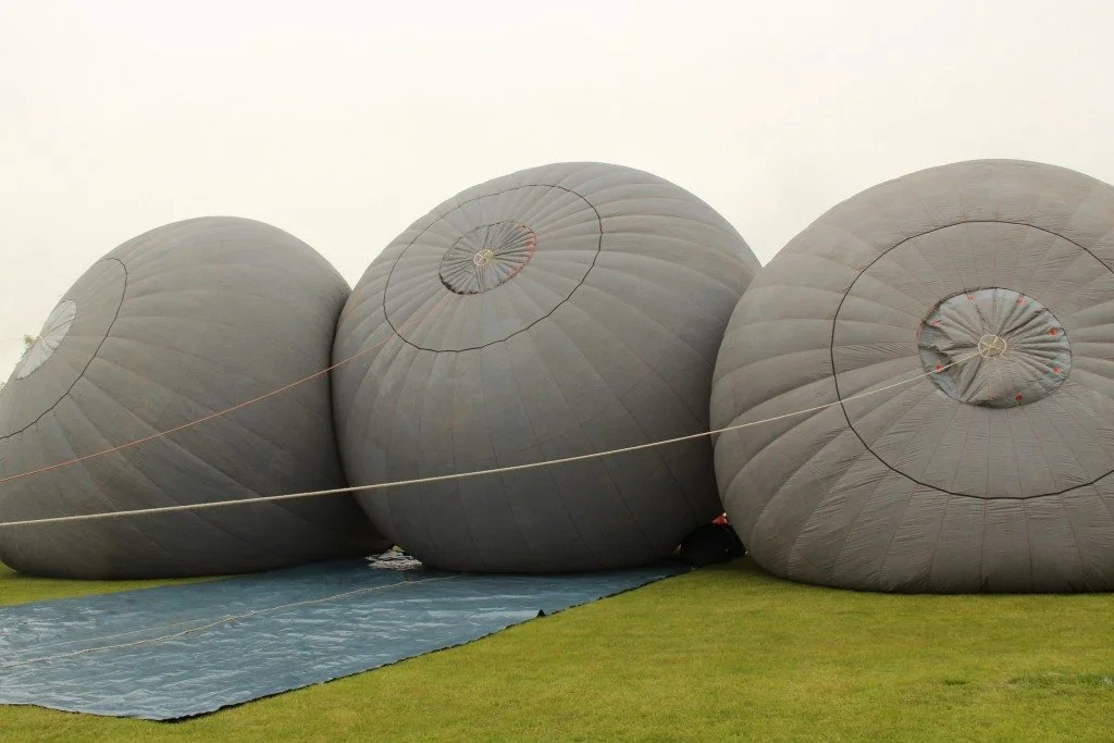 D8-753 (Green Ice Display)