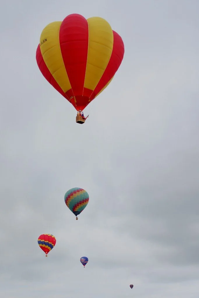 D4-349 (G-OJEN, BXCN, BVPV, BUTJ).JPG