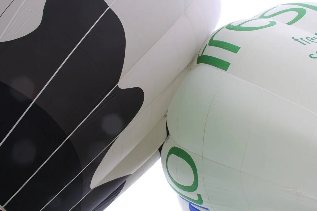 D10-362 (G-OMOO_G-CEJL)