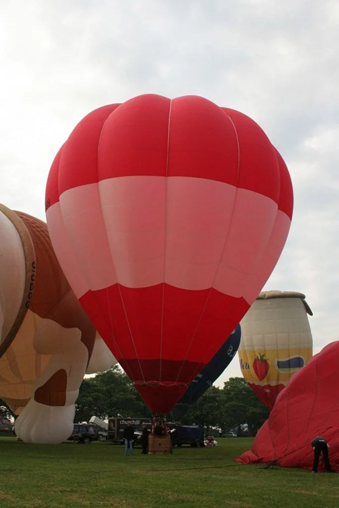 D1-192 (G-BZSH_G-CDOG_G-CHAM)