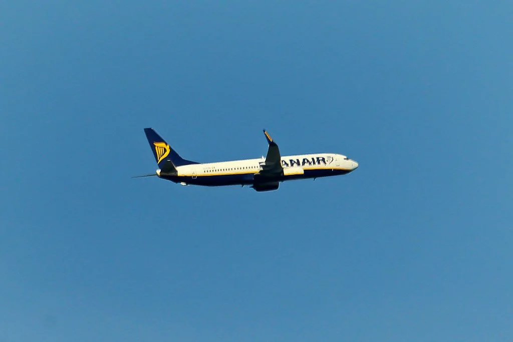 D13-175 (-).jpg