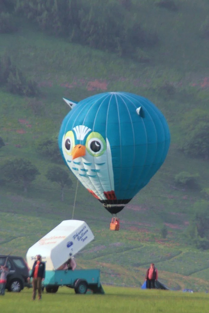26May30_Model_(2)_SR