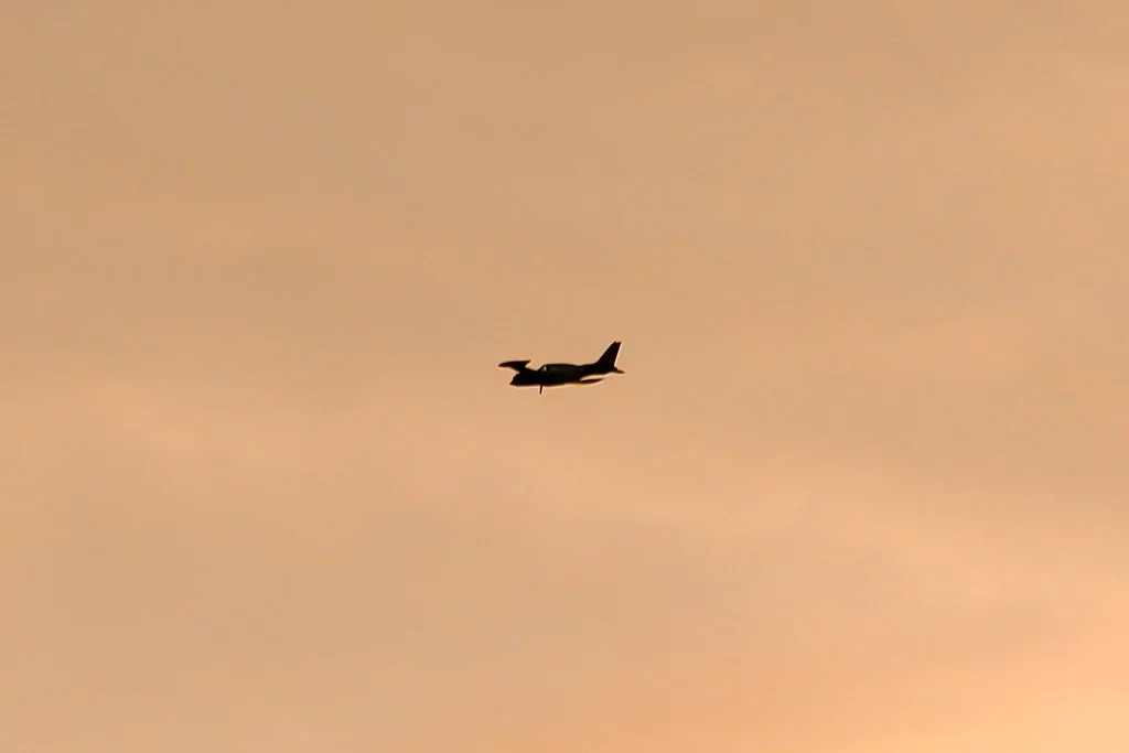 D13-168 (G-NOSE).jpg