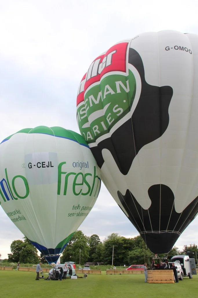 D10-363 (G-CEJL_G-OMOO)