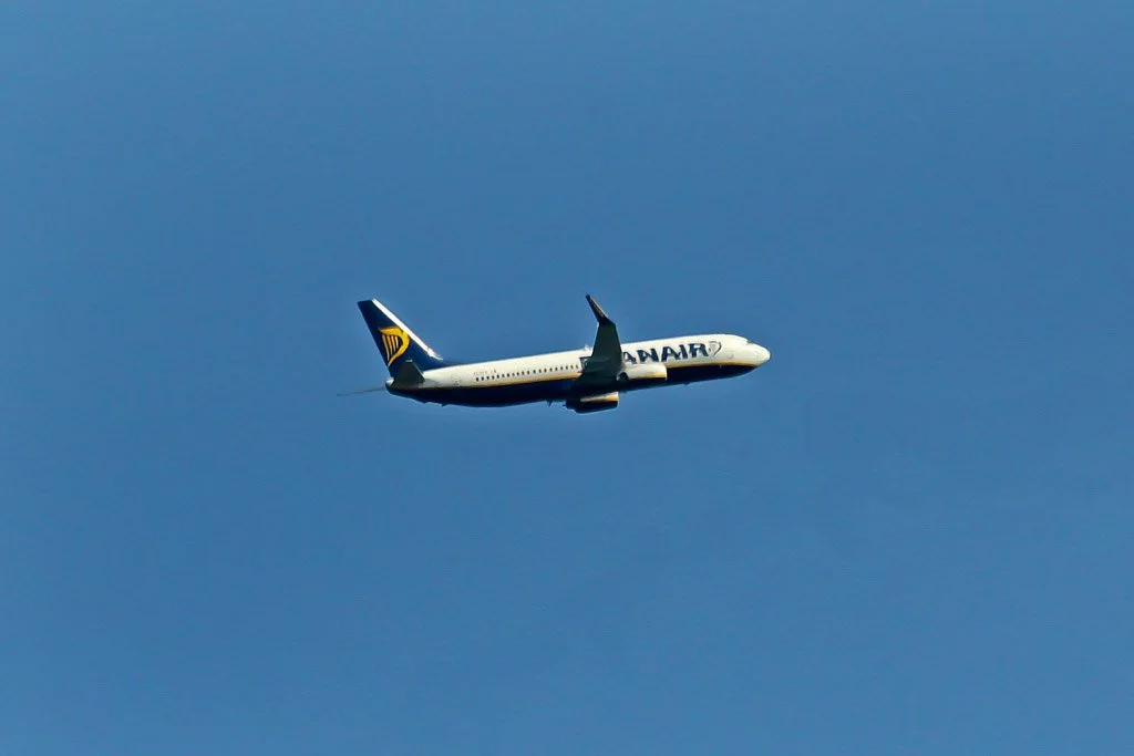 D13-172 (-).jpg