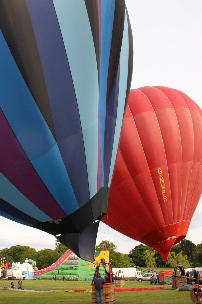 D12-284 (G-HCPD_G-NWPR)