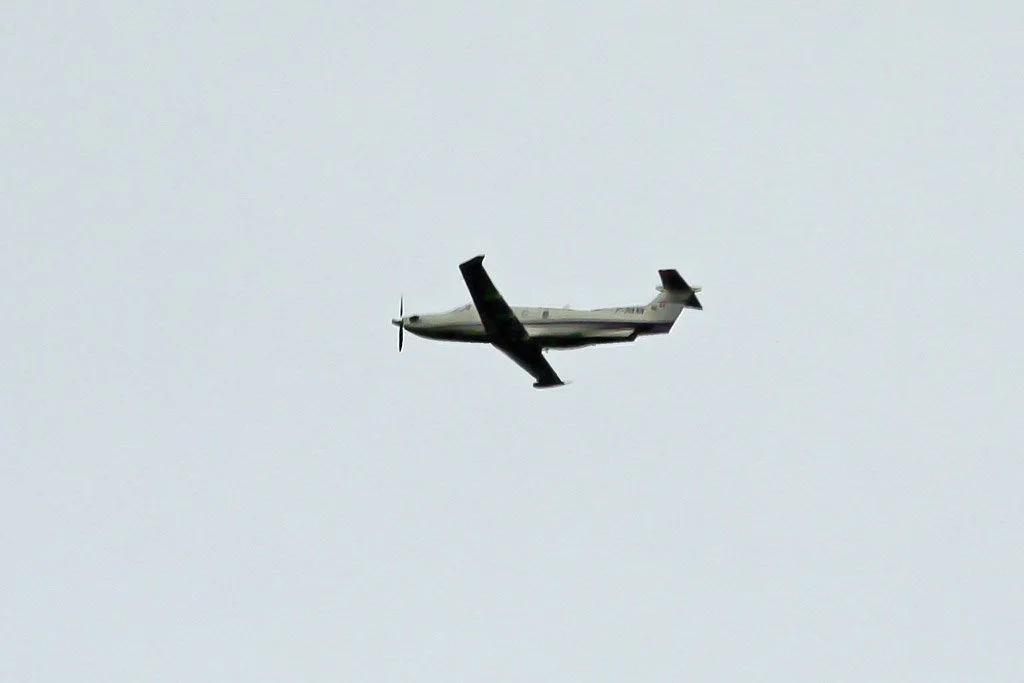 D13-161 (F-HANN).jpg