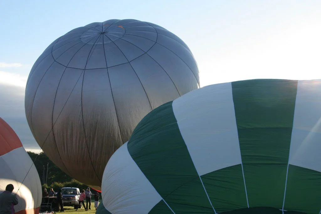 D1-836 (G-BZSL_G-WILB)