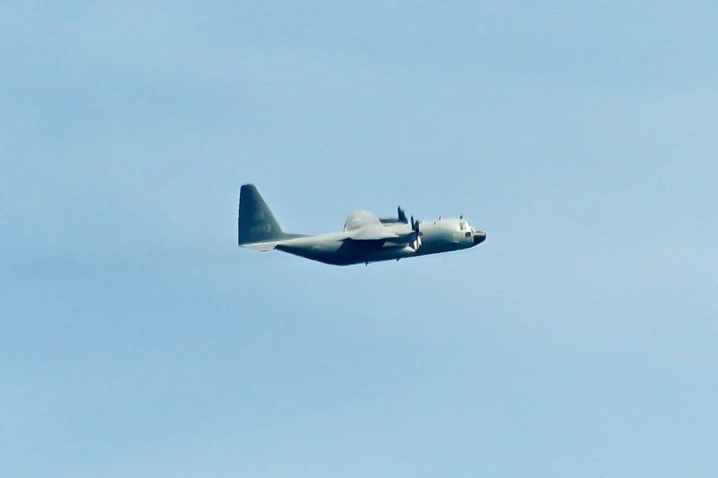 D13-173 (164993).jpg