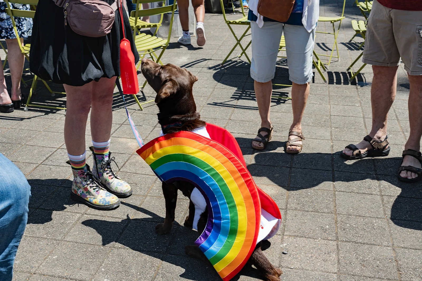 All images by Flashback PDX @flashbackPDX