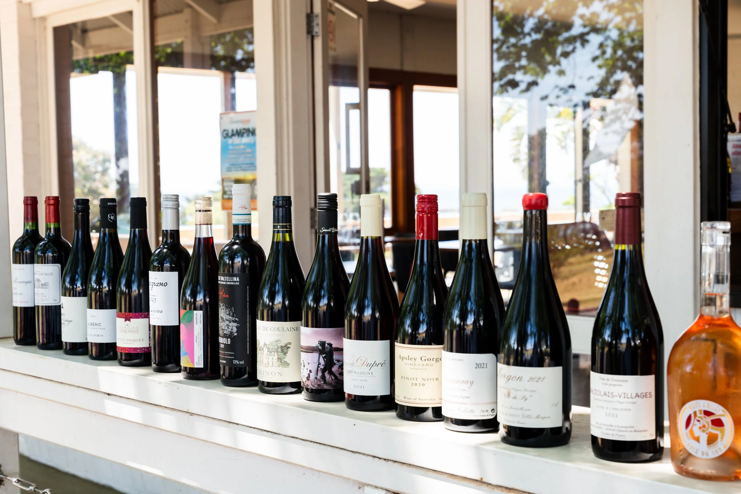 A row of wine bottles displayed on a white shelf inside a store, with large windows showing trees and a clear sky outside.