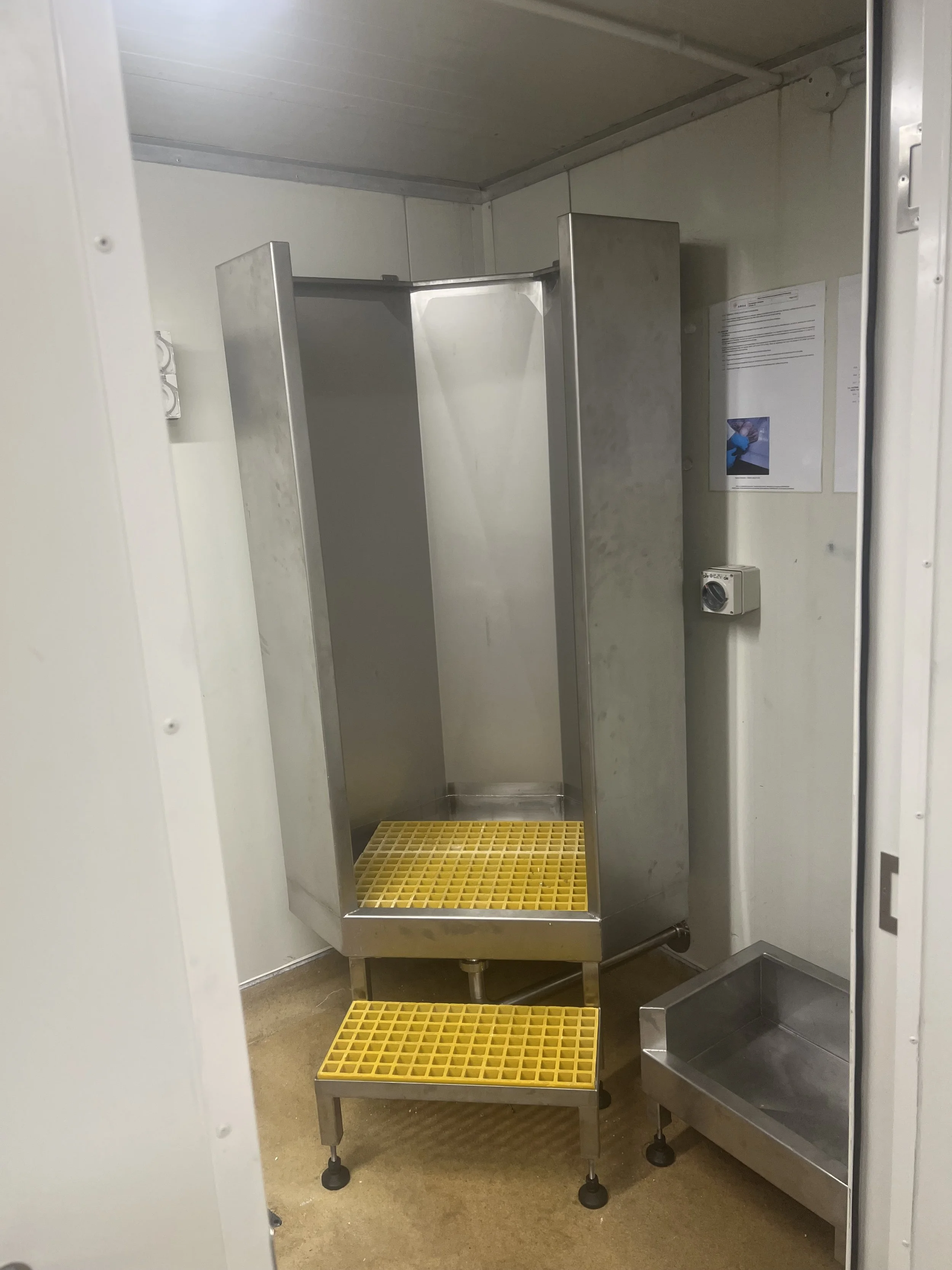 An empty stainless steel animal shower stall with two yellow plastic grates and a small stainless steel tray on the floor, situated in a utilitarian room.