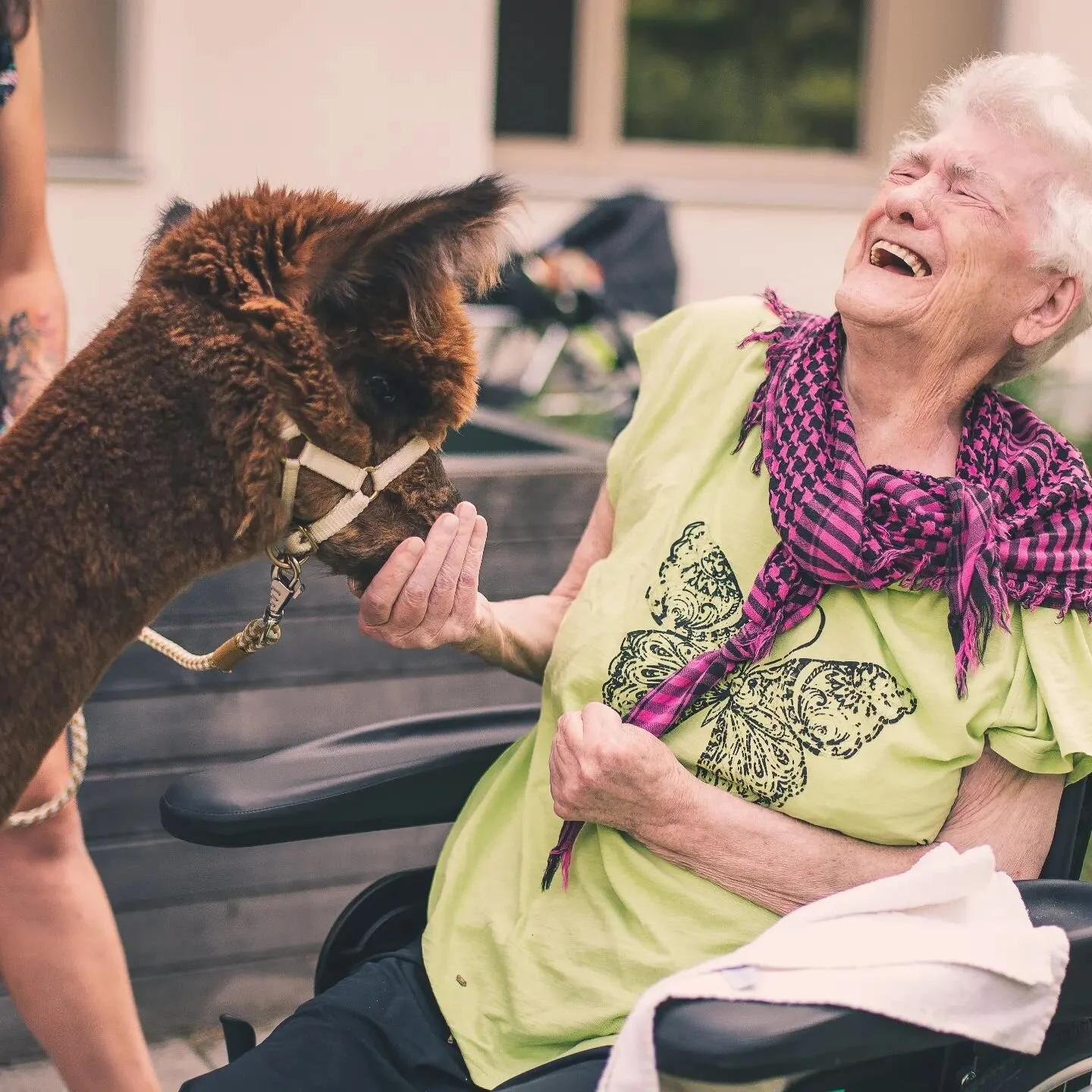 Hier ein R&uuml;ckblick vom flauschigen Besuch im August von den Alpakkas vom Almtalcamp.
Ein gro&szlig;es Danke an die Firma FixFax aus Vorchdorf die diesen Besuch gesponsert haben.

#altenpflege #pflegemitherz #eberstalzell #alpakka