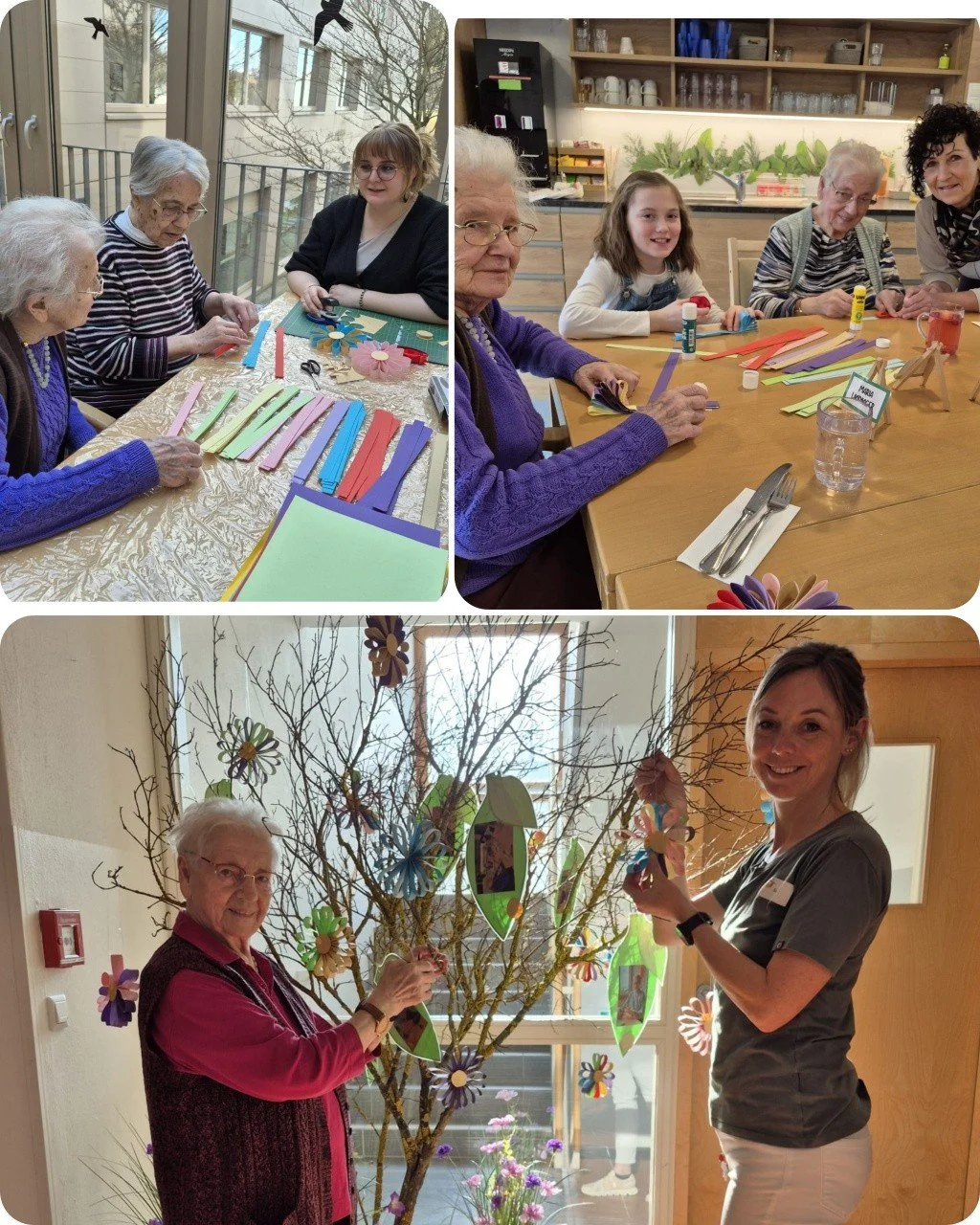 🌼 FR&Uuml;HLINGSZAUBER🌼

P&uuml;nktlich zum Fr&uuml;hlingsbeginn wurde bei uns flei&szlig;ig gebastelt; Aus einfachen Papierstreifen entstanden liebevoll gestaltete Blumen. ✂️🌸

Jetzt erstrahlt unser sch&ouml;nes (zu)Haus(e) in frischen Farben! 🌻