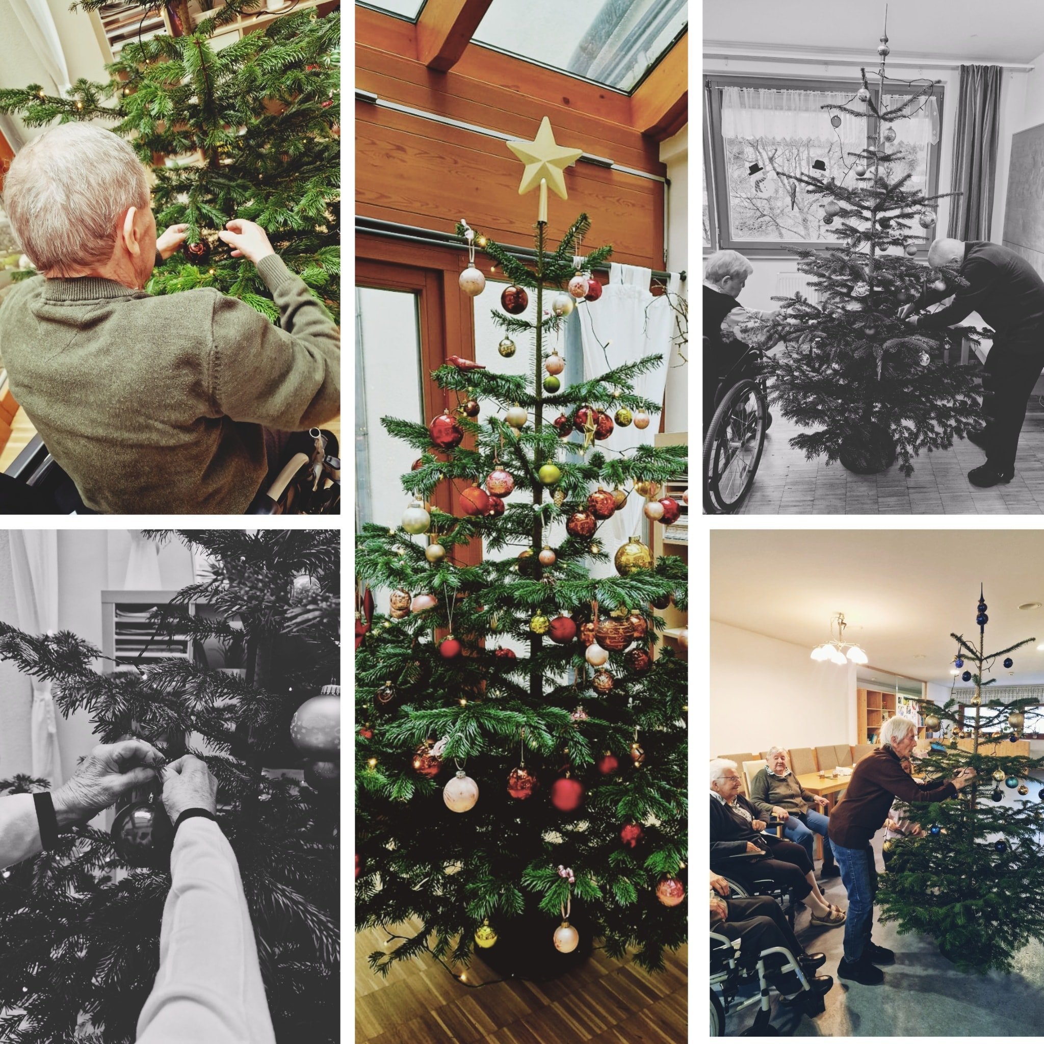 Das Sonnleiten-Team w&uuml;nscht Euch von Herzen Frohe Weihnachten! ✨️🎄
M&ouml;ge die Weihnachtszeit erf&uuml;llt sein von N&auml;he, W&auml;rme und sch&ouml;nen Momenten miteinander. 🧡🌻 

#weihnachten2025 #pflegemitherz #teamsonnleiten