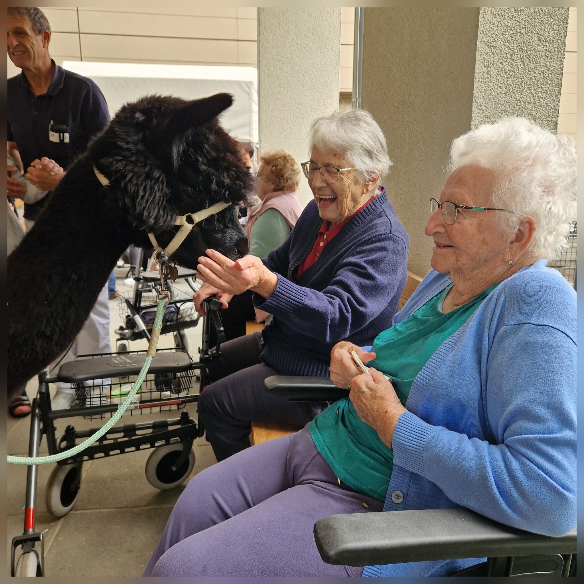 TIERISCHER BESUCH 🦙

Tiere haben eine ganz besondere Art, Menschen gl&uuml;cklich zu machen. 💫
Gestern durften wir die Almtal Alpakas bei uns willkommen hei&szlig;en und wie man sieht, sagen die Fotos eigentlich mehr als tausend Worte. 🥹🥰

Ein gr