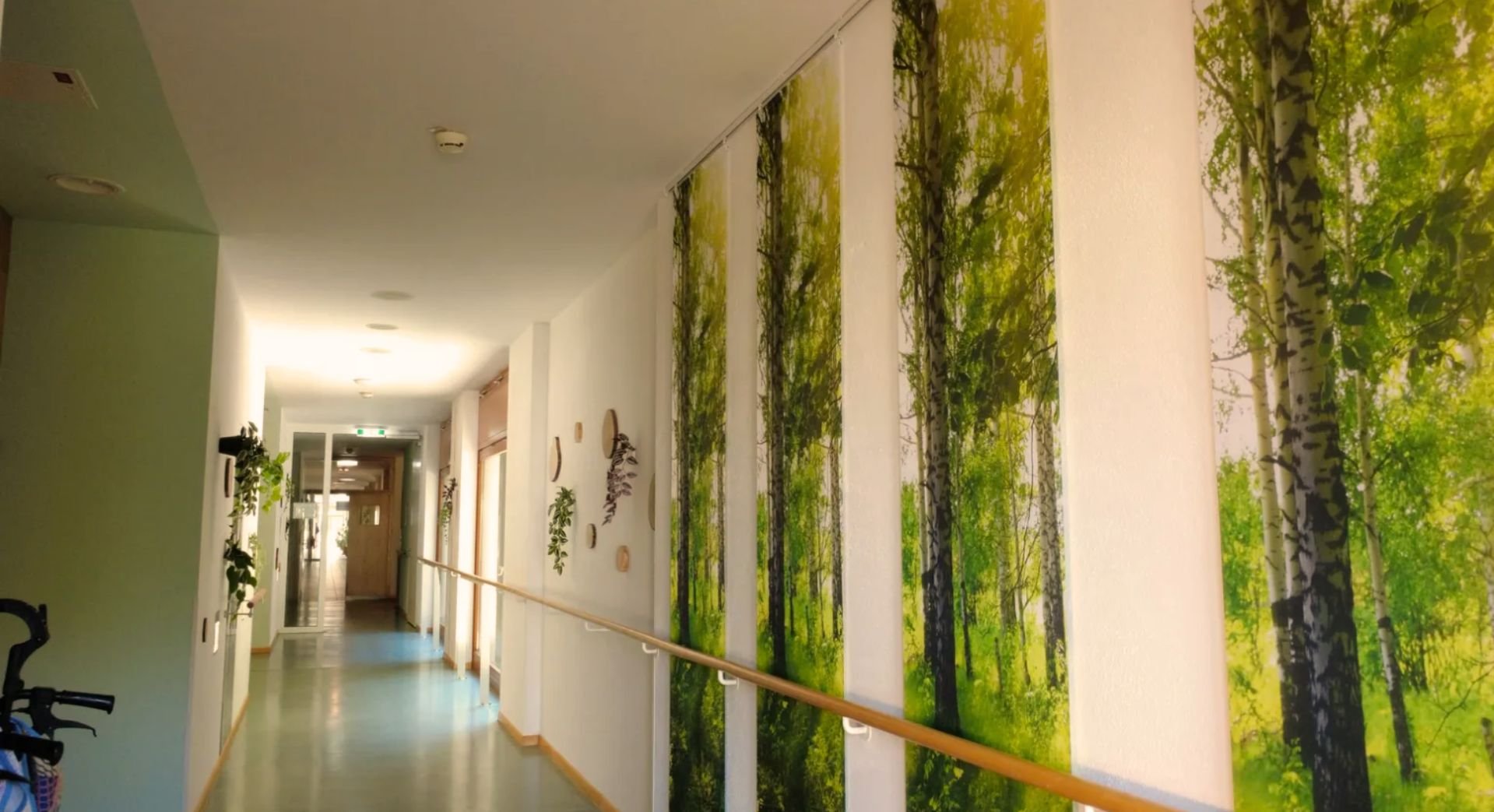 Hallenflur mit Wandbildern von Baummotiven und Pflanzen, Holzhandlauf an der Wand, Garderobe im Vordergrund, Türen am Ende des Flurs.