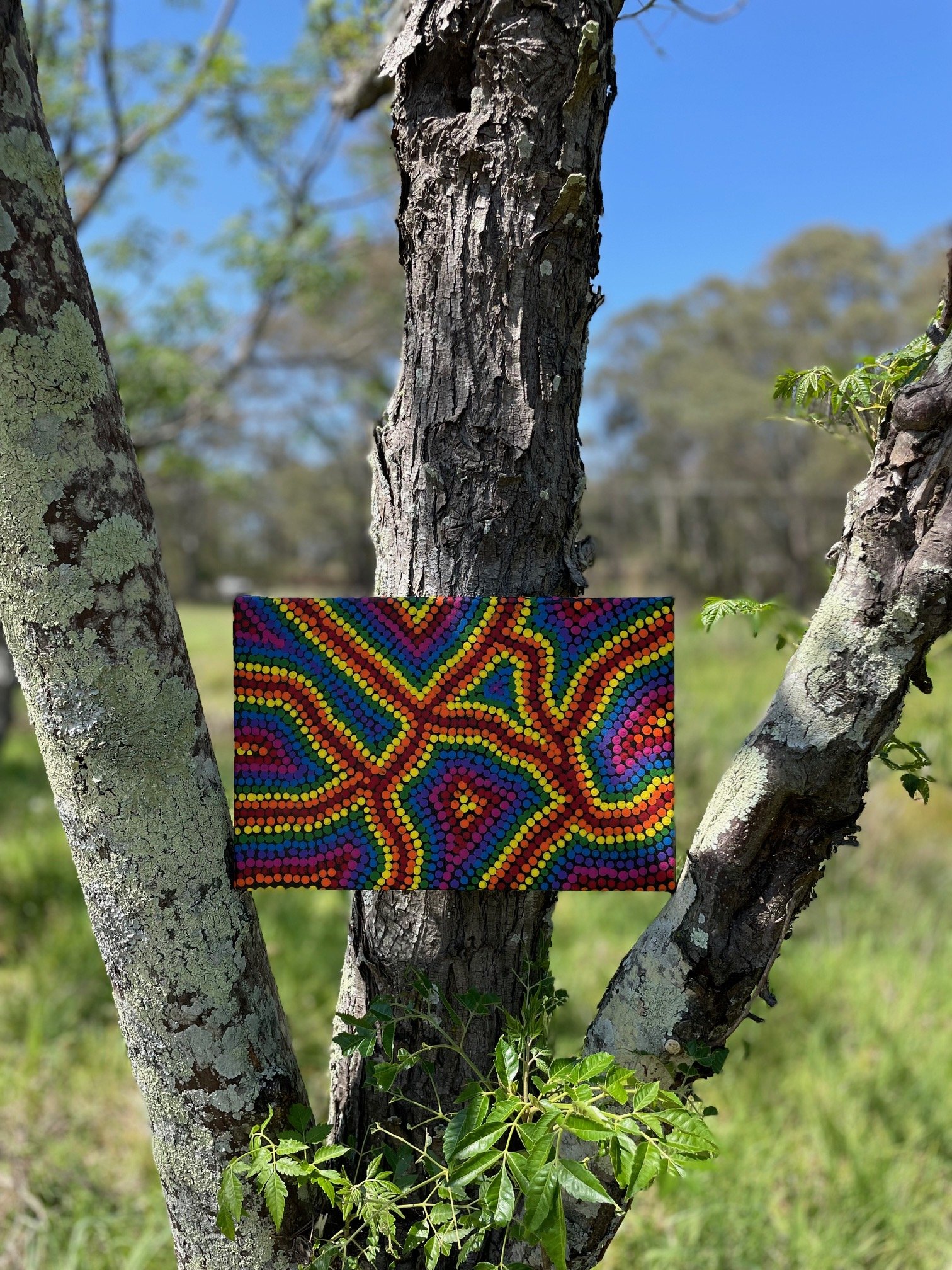 A colorful Aboriginal dot painting with geometric patterns and bright colors, attached to a tree in a natural outdoor setting.