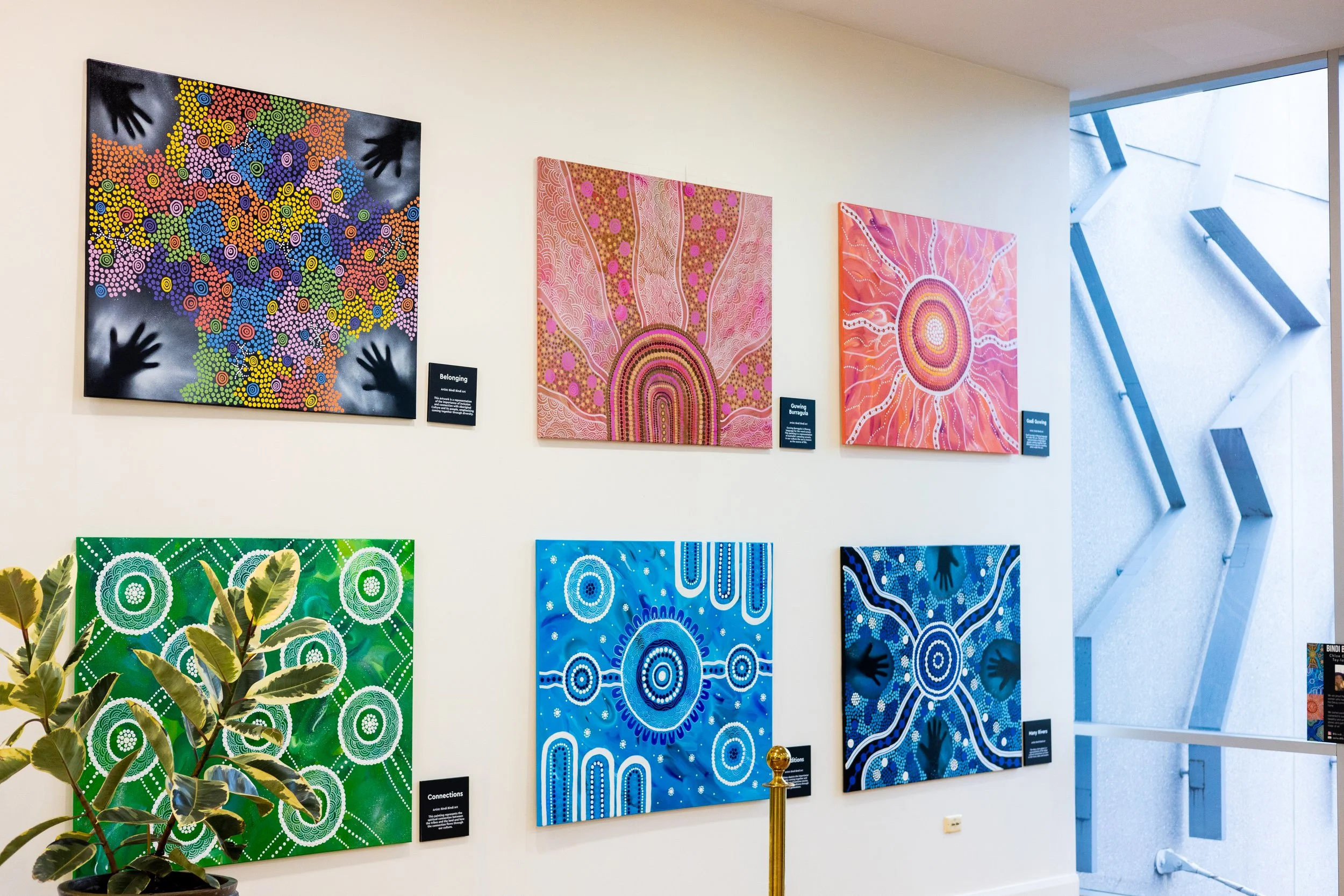 Art gallery wall featuring six Aboriginal-style paintings with colorful dot patterns and circular designs, accompanied by small informational plaques, with a plant in the foreground and a modern window with architectural details on the right side.