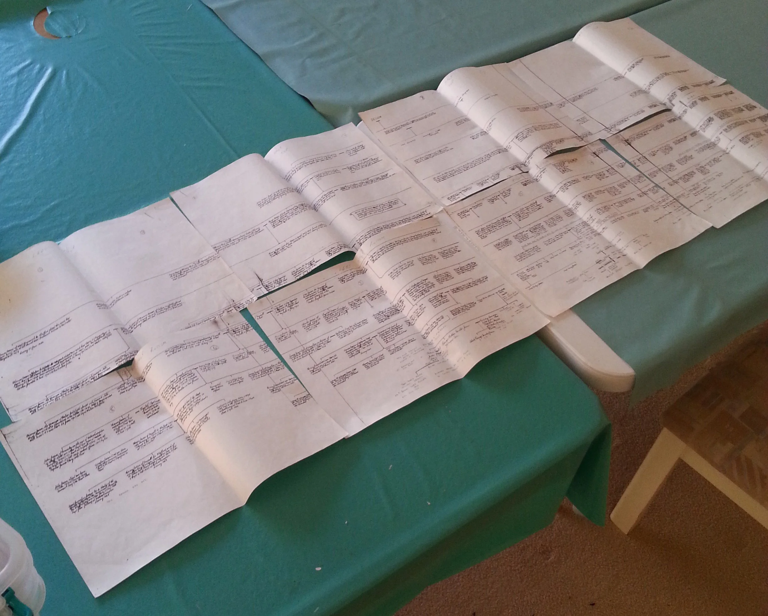 Family History - ACCOUNTABILITY PROJECT- ‘How the Other Half Lived’- Part  1