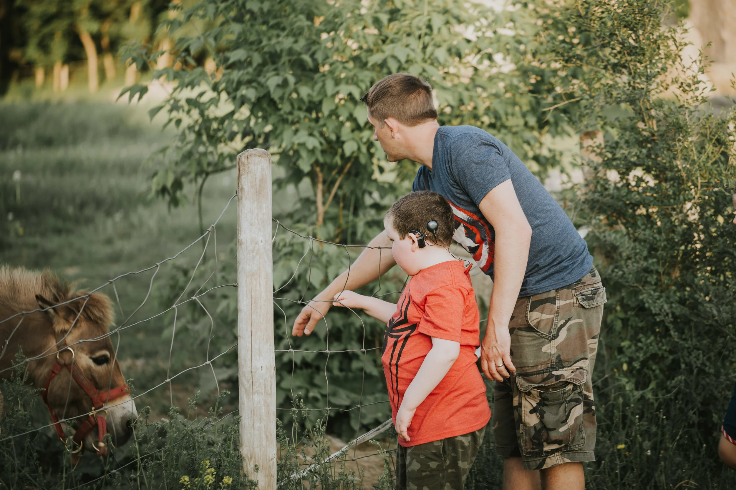 dad and boy looking at a donkey on a farm - Twin Cities Family Photography