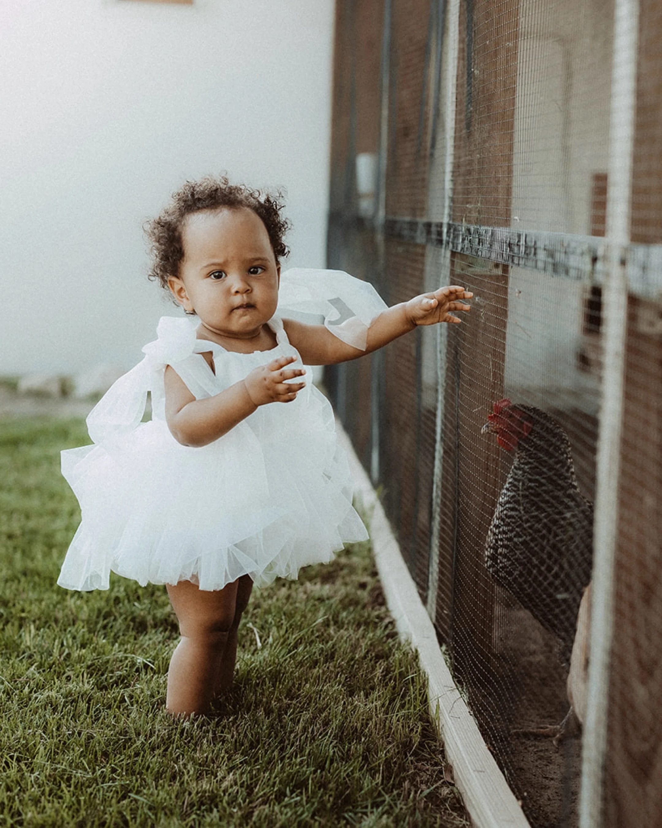 Another sunny throwback for this very summery week we&rsquo;re having in Minnesota! One year sessions are always so much fun, and this one included chickens at the wonderful @pixeldustacres! How gorgeous was this night? 

My milestone package capture