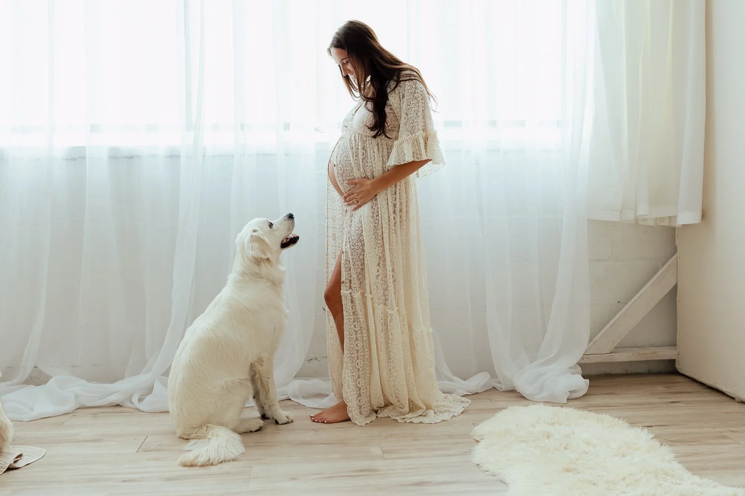 Minneapolis Family Photographers Who Allow Pets in Their Studio 