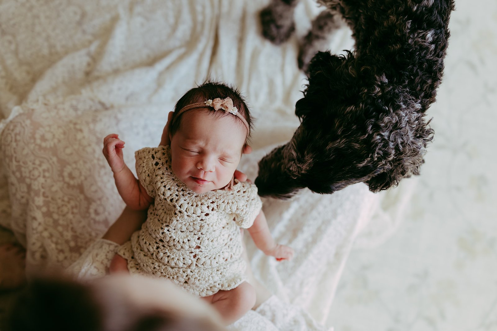 A newborn baby wearing a knit dress and headband lying on a blanket, with a black curly-haired dog leaning in close to the baby, both on a textured white surface.
