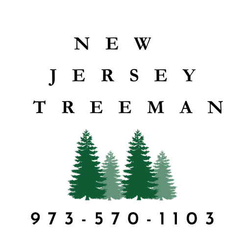 New Jersey Treeman