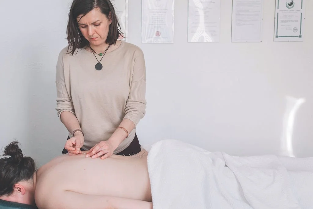 Reflecting on My First Year of Acupuncture Practice in the Scottish Borders
