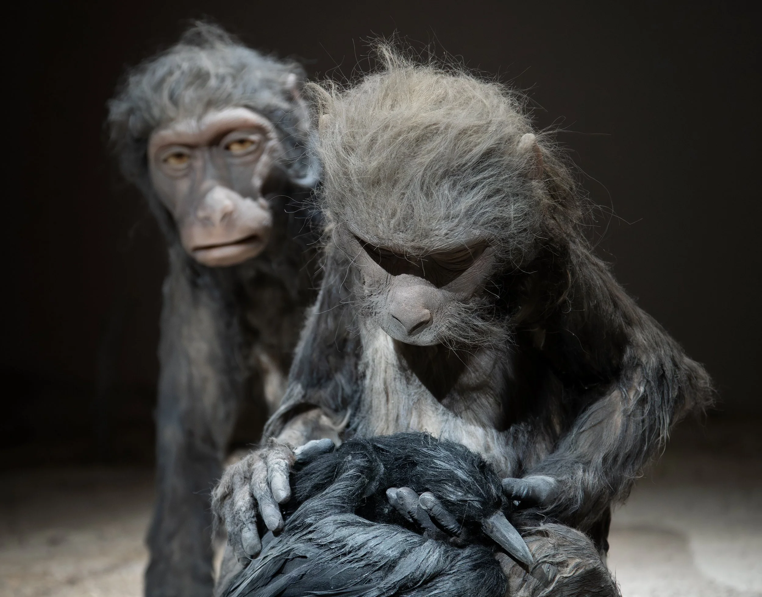 Guided Exhibition Introduction - Me You We