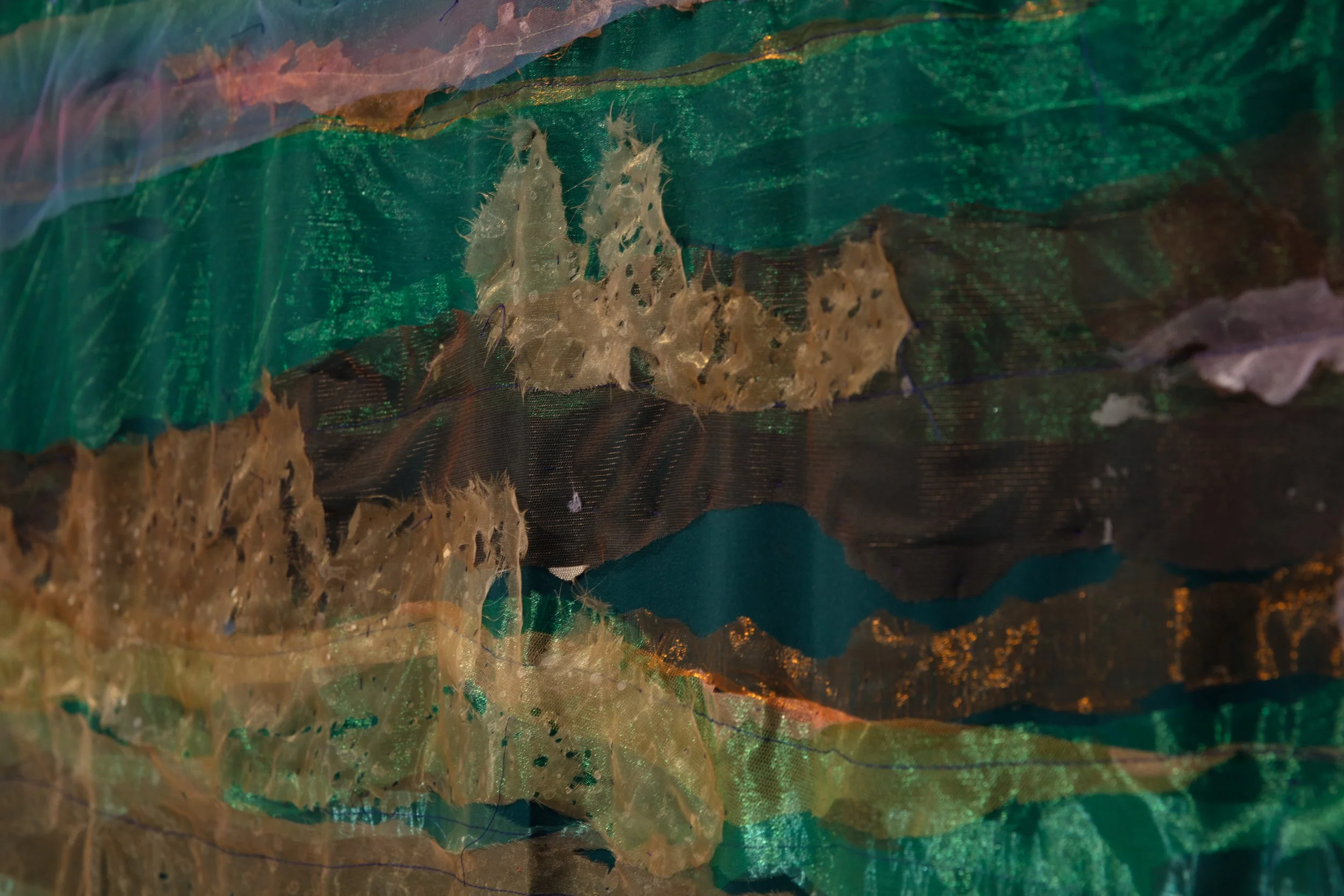 Artist talk: Petra Lindholm