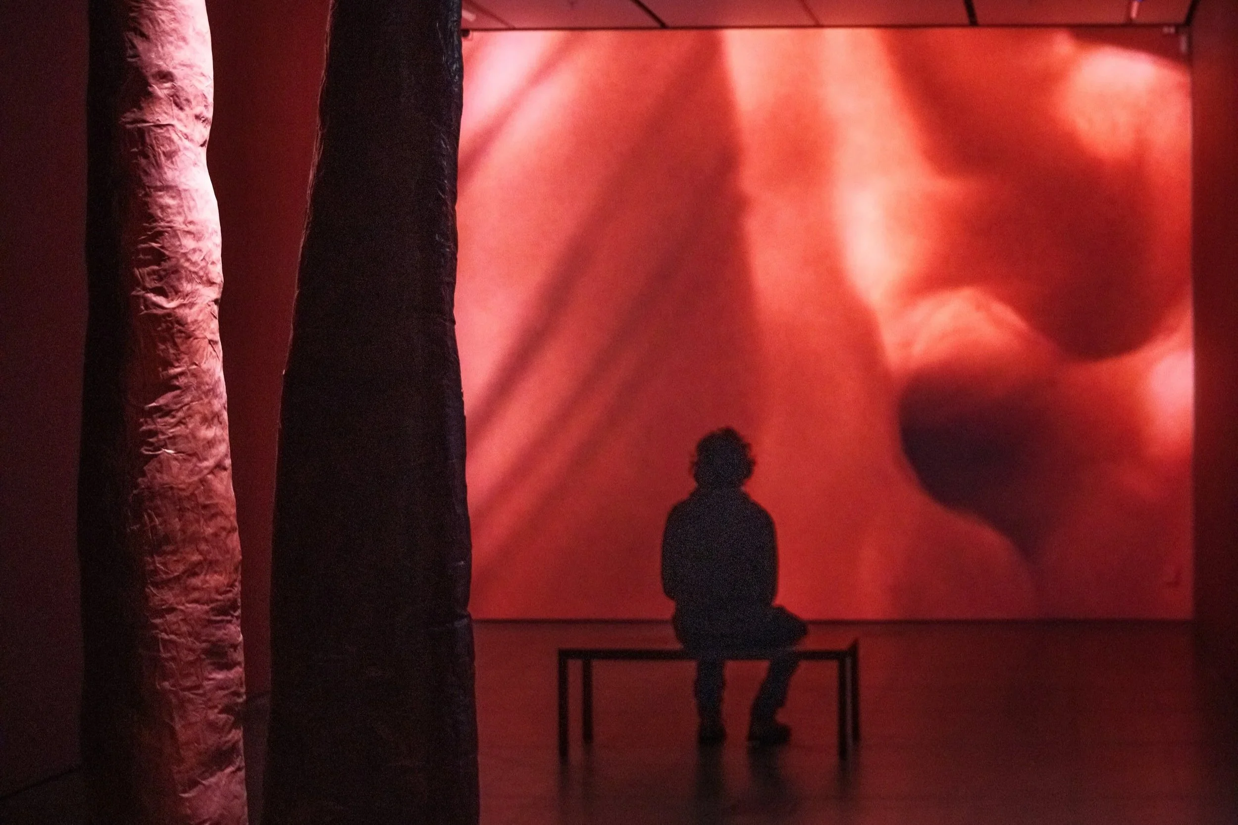 Free Friday – Free Admission