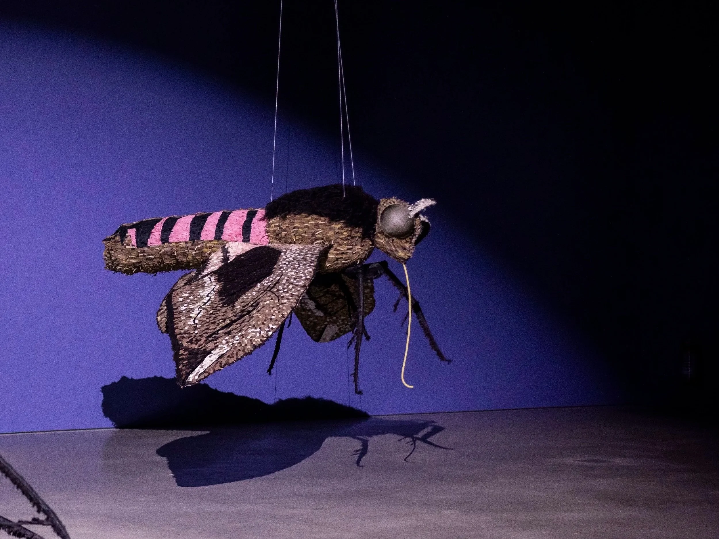 Family tour with Elin Ek