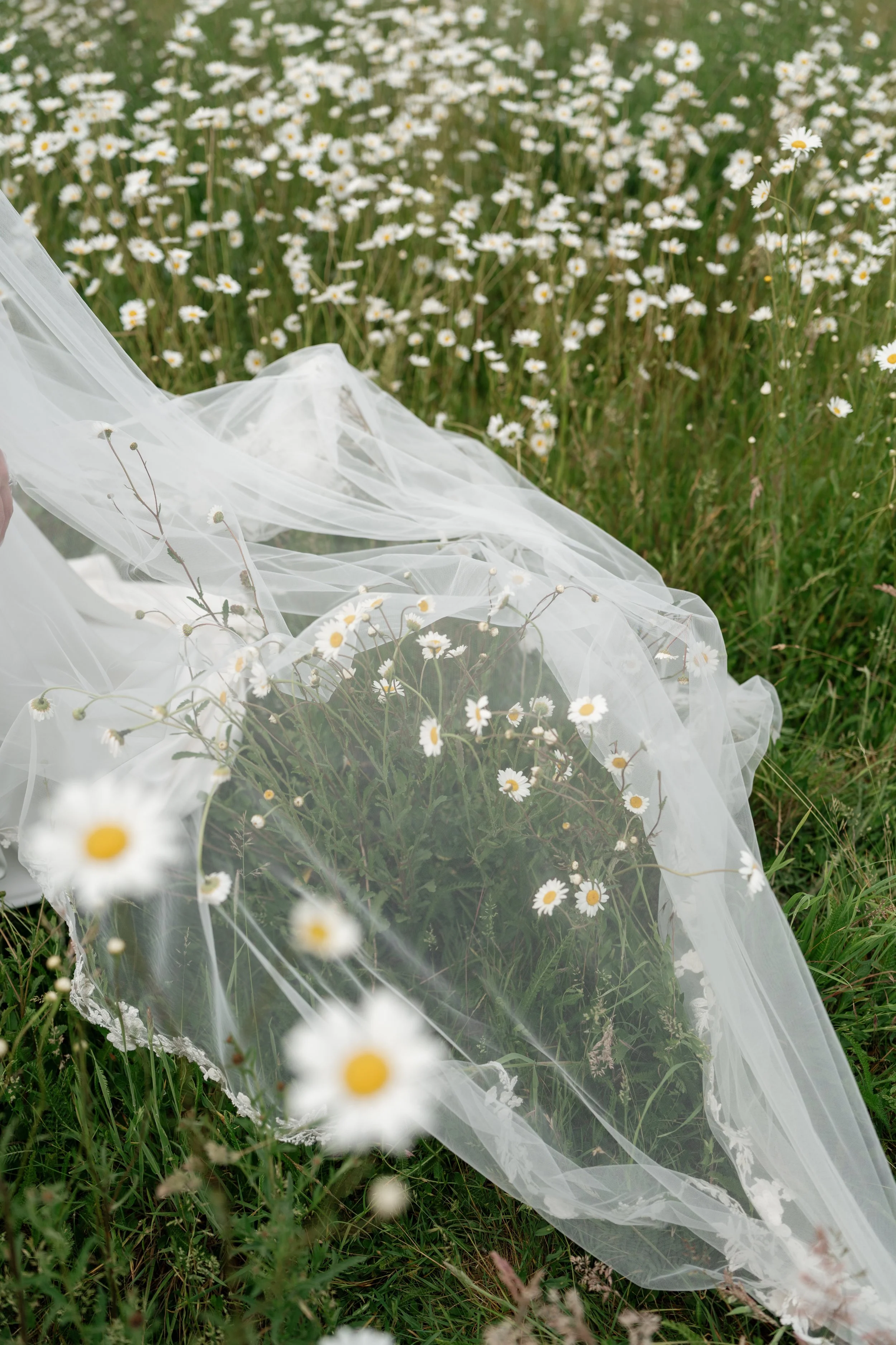 Lauren & Lewis Previews 58.jpg