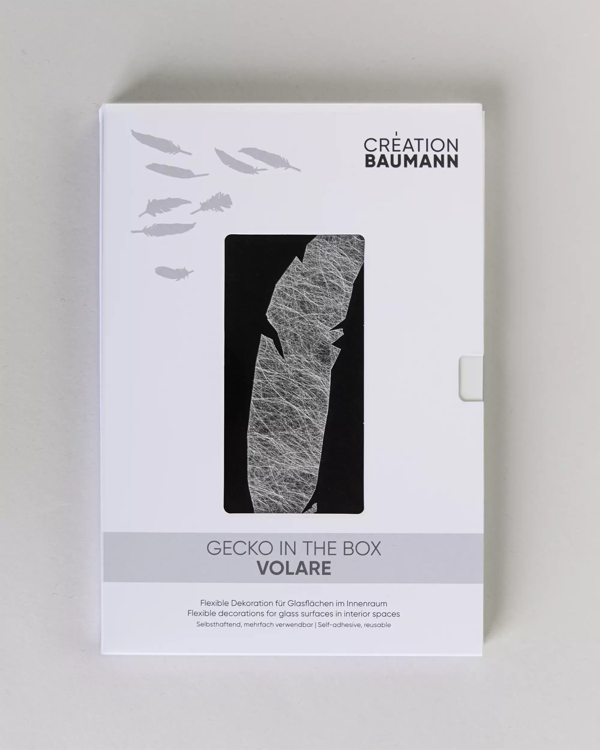Gecko in the Box Volare
