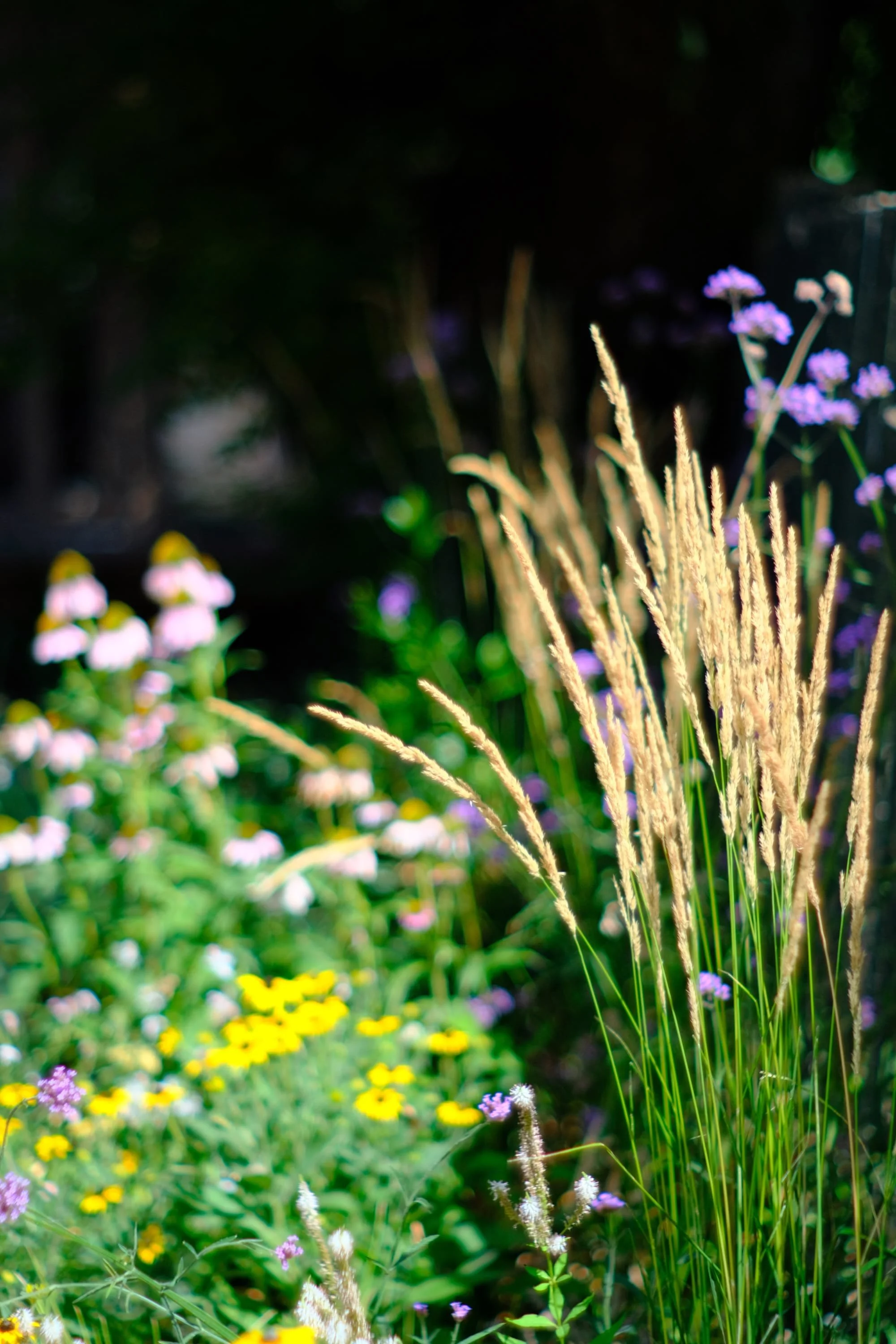 New River Garden